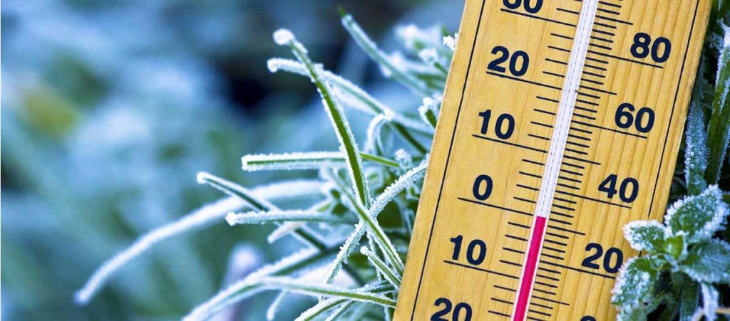 Comment protéger les plantes qui craignent le gel en hiver ?